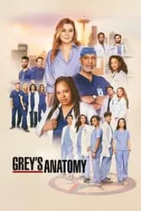 Download Grey’s Anatomy (Season 1-21)  {English With Subtitles} 720p Bluray [280MB] || 1080p [1GB]